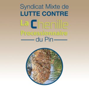 Lutte contre la chenille processionnaire du pin