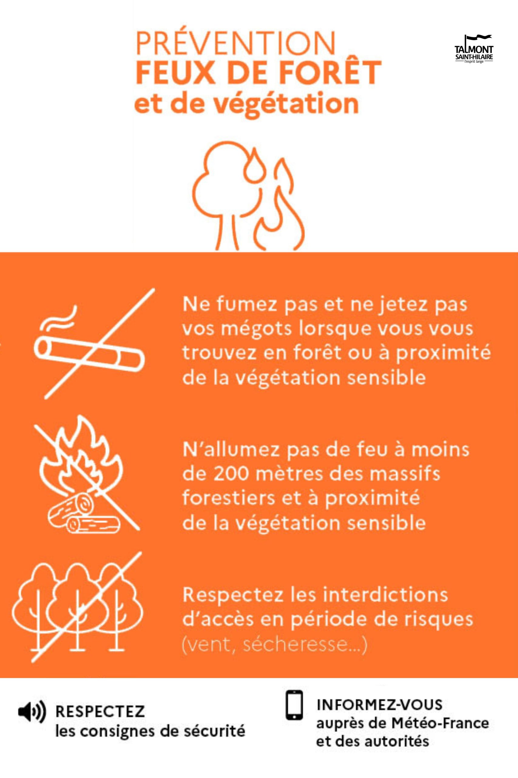 feux de foret