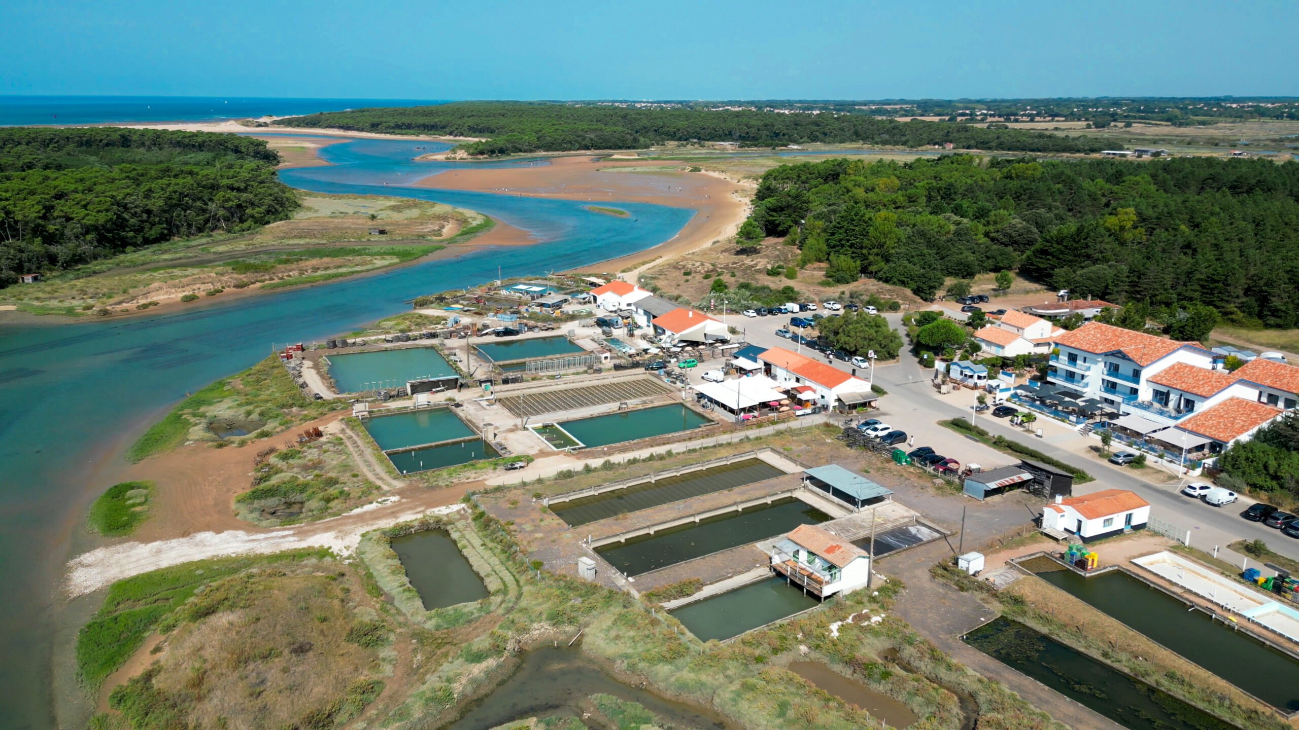 Estuaire - guittière - CREDIT VILLE DE TALMONT (2)