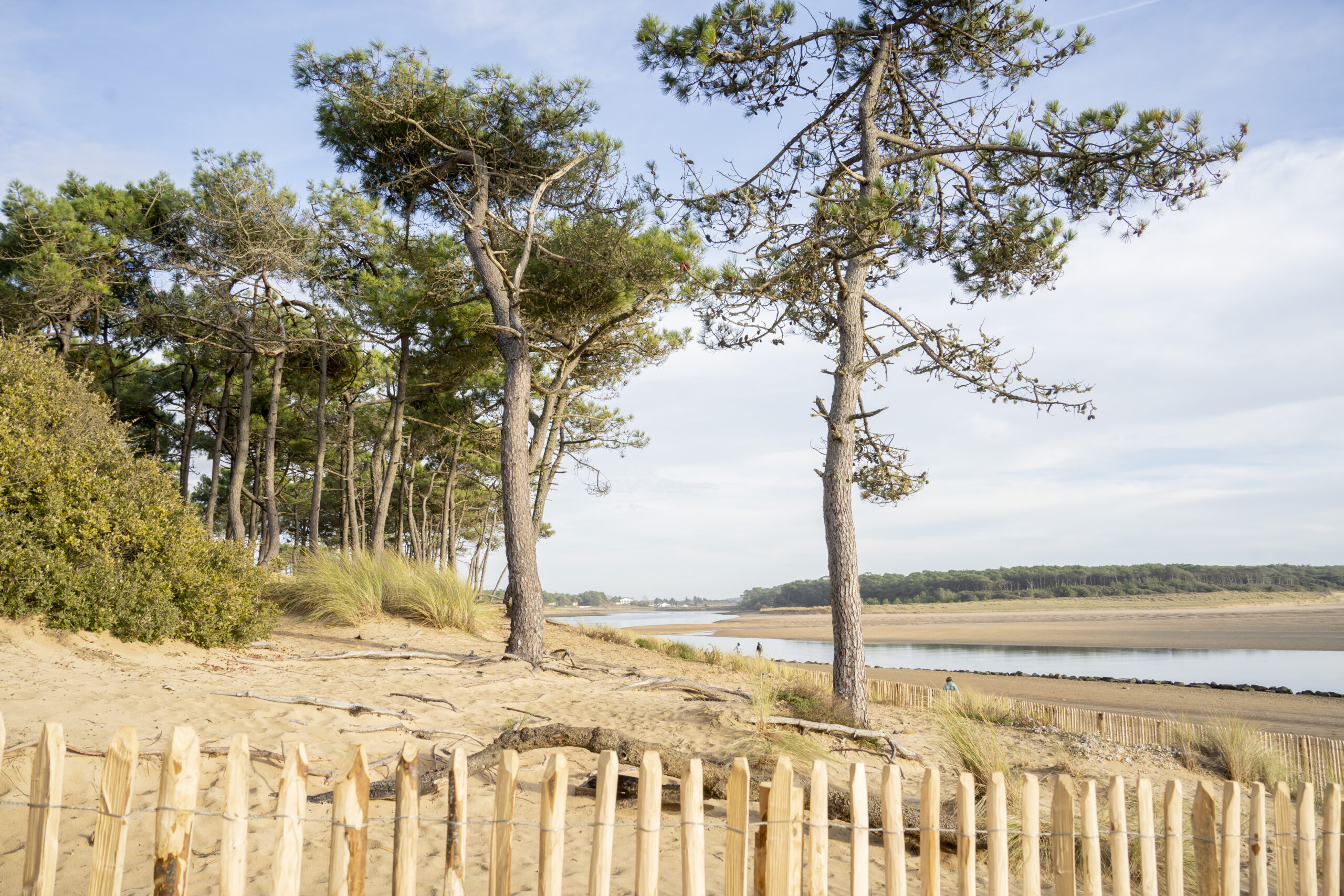Plage du Veillon- Crédit Ville de Talmont (9)